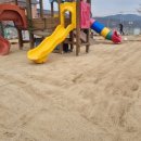 금성초등학교 병설유치원 이미지