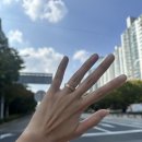 중로1-109 | 대전 도안동 맥스쥬얼리: 종류 다양 피아제 웨딩밴드 가드링 내돈내산후기