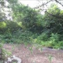 서리골천 이미지