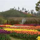 순천만그리고나 이미지