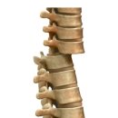 우신향정형외과의원 이미지