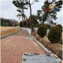 대부중학교 이미지