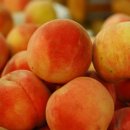 복숭아PC 이미지