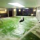 수목원 생활온천 이미지