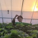 진이농장 이미지