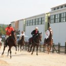 영천시운주산승마조련센터 이미지