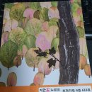 지안꽃누르미 Daum카페