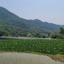 곡천민박 이미지