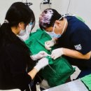 리젠치과의원 이미지