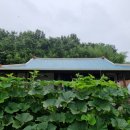 미숙이네 이미지