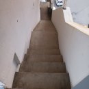 헬로우댕댕유치원 이미지