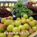 8월 제철 음식, 수분 보충에 도움 주는 과일은? 이미지