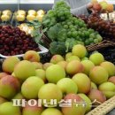 과일 - 성남시 중원구 금상로100번길 6 | 과일