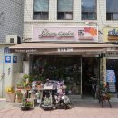 꽃고을광희