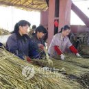 증산농장 이미지