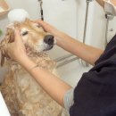 웨그앤코 이미지