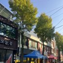 비아중앙로 이미지