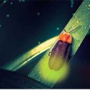 고성공룡나라(대전)휴게소 이미지