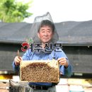 여주꿀벌농원 네이버블로그