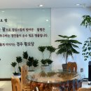 경주여행 | 김용경 경주빵 찰보리빵, 황오당 크림치즈빵, 경주순수찰보리빵 비교