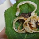 내돈내산 신림동 순대타운 양지순천집 백순대곱창볶음 배달 후기