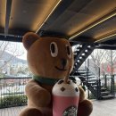 핫 족(양주점) | [장흥] 작업하기 좋은 카페 스타벅스 가나아트파크점 스페셜 스토어 스탬프, 신메뉴&amp;시그니처 메뉴...