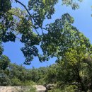 용인아나파마취통증의학과의원 이미지