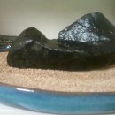 수양1 농장 이미지