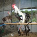 문영식 농장 이미지