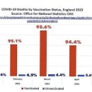 [일반] 영국 코로나 사망자 중 백신 접종자가 95% ?????????? 이미지