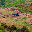 소백산 이미지