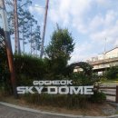 서40-409 | 에스파 보러 갔다가 극락과 지옥을 맛봄: 멜론티켓 전달 회수, 409구역 I열 3번 시야, 빡센 고척돔 탈출기