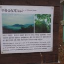 대덕산주유소 Daum카페