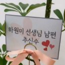 커다란화분