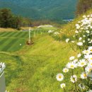 뉴스프링빌2 이미지