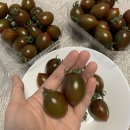 올바로푸드 탱글탱글 흑대추 방울토마토 후기
