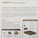 한국은행 화폐박물관 이미지