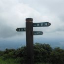 정고개농장 이미지