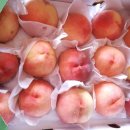 태화농장 이미지