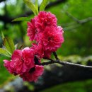 서원목장 이미지