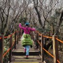 아란야 요가 이미지