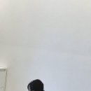 하루기구필라테스