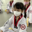 국가대표 탑 태권도장 이미지