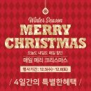 어스앤뎀뉴코아