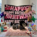 솔카페 | [경기_인천] 송도 야외 수영장이 있는 애견카페 "솔멍" 내 돈 내산 후기