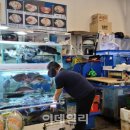 지씨수산 이미지