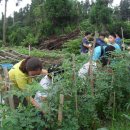 해인어린이집 이미지