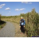 뚝길따라 이미지