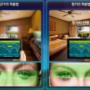 공콘택트렌즈 이미지