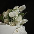 흥해읍 내맏이 | 연휴에 도대체 무슨 일이 이렇게나 많았나요…!